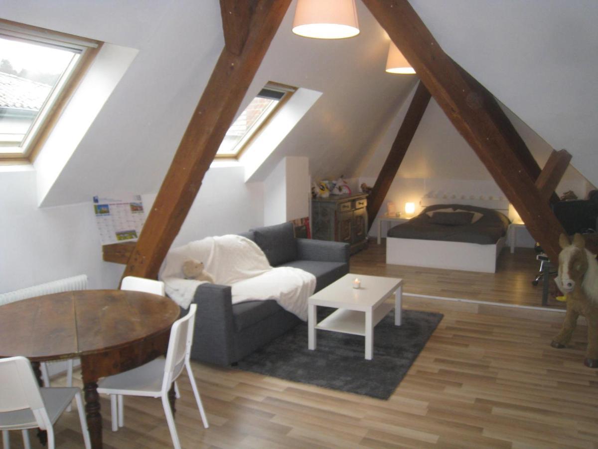 Chambres Privatives Chez L'Habitant Guebwiller Dış mekan fotoğraf