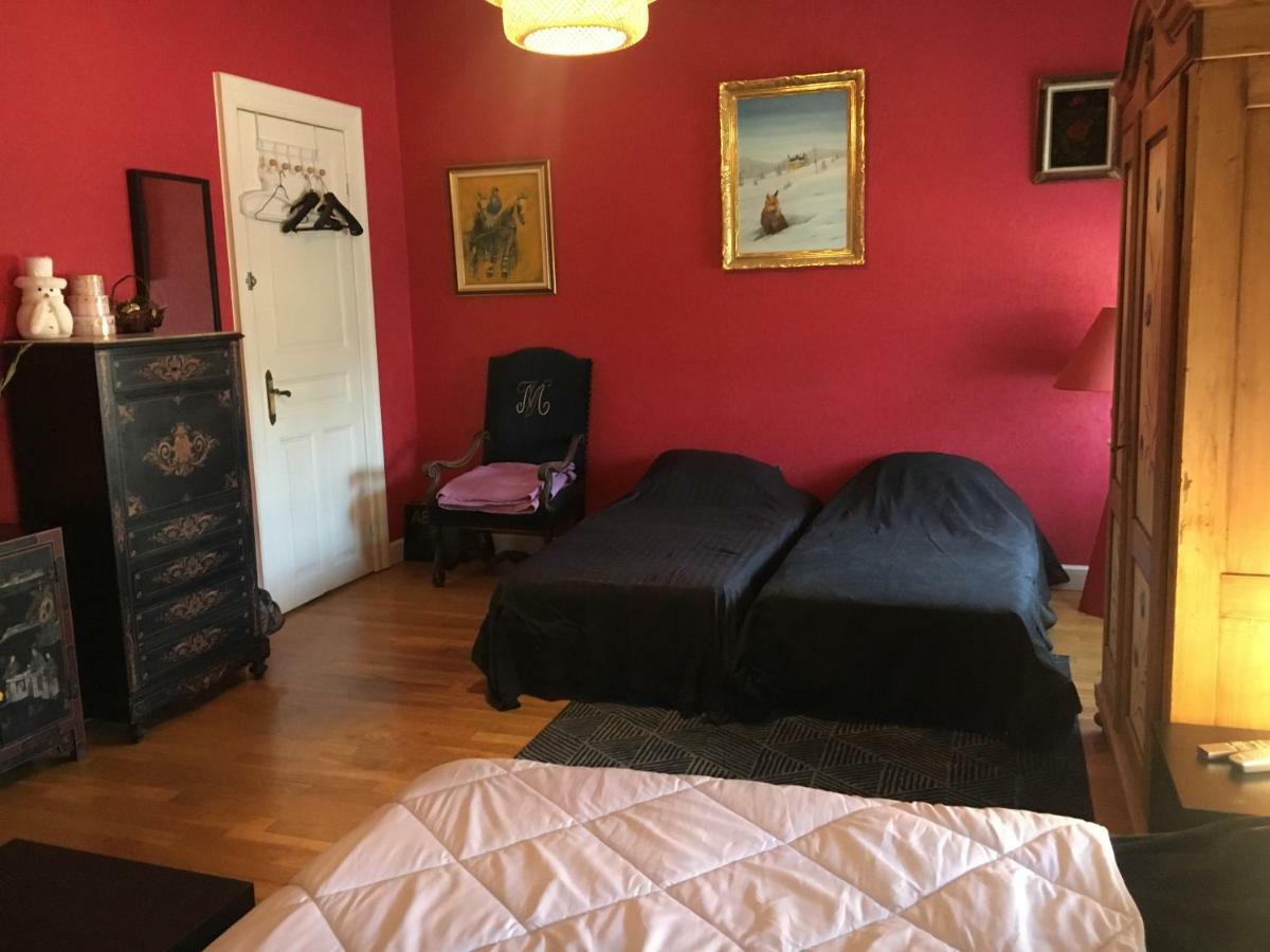 Chambres Privatives Chez L'Habitant Guebwiller Dış mekan fotoğraf