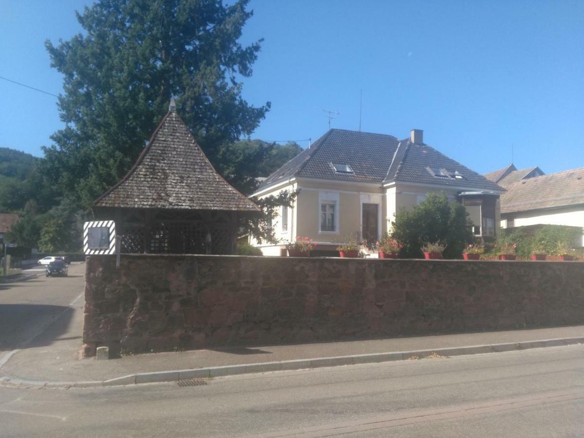 Chambres Privatives Chez L'Habitant Guebwiller Dış mekan fotoğraf