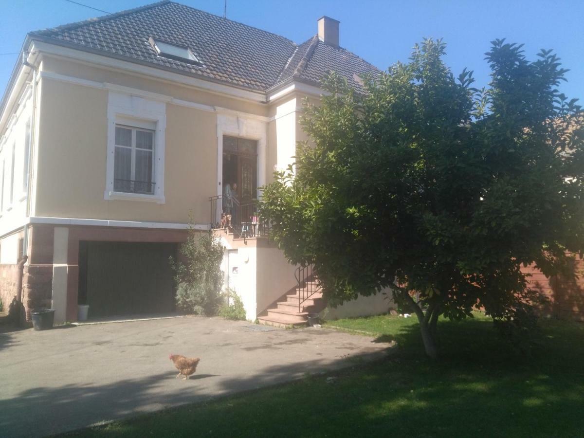 Chambres Privatives Chez L'Habitant Guebwiller Dış mekan fotoğraf